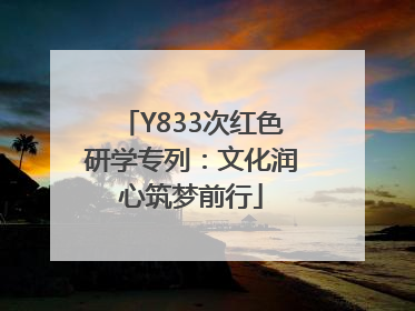 Y833次红色研学专列：文化润心筑梦前行